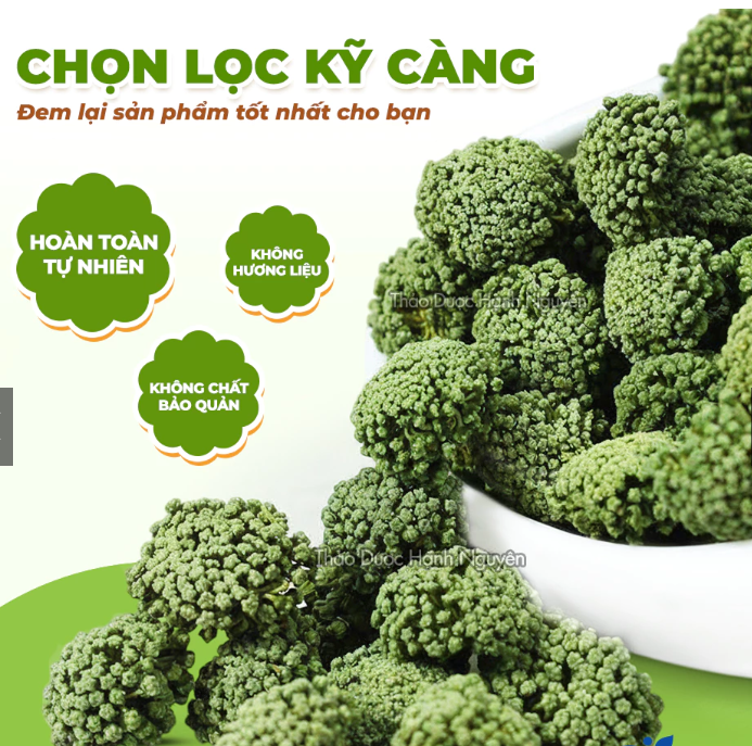 Nụ hoa tam thất bao tử