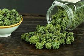 Nụ hoa tam thất bao tử