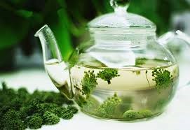 Nụ hoa tam thất bao tử