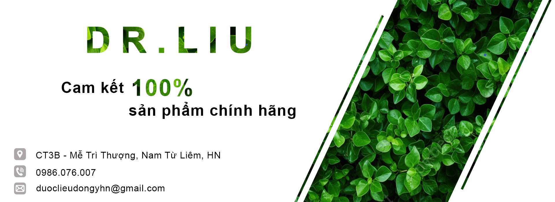 Trà hoa - Trà thảo dược