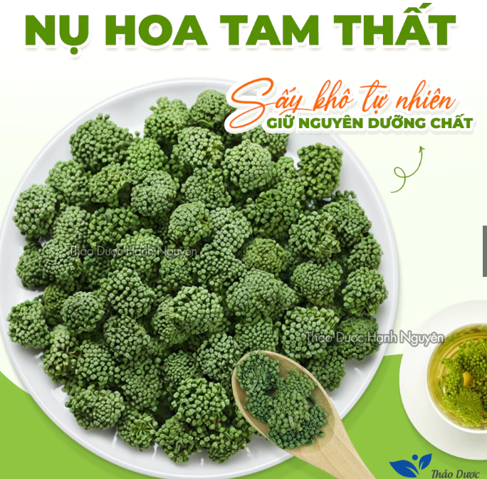 Nụ hoa tam thất bao tử